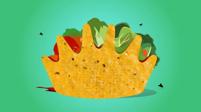 Бразилия показала пример, как вести войну с ...